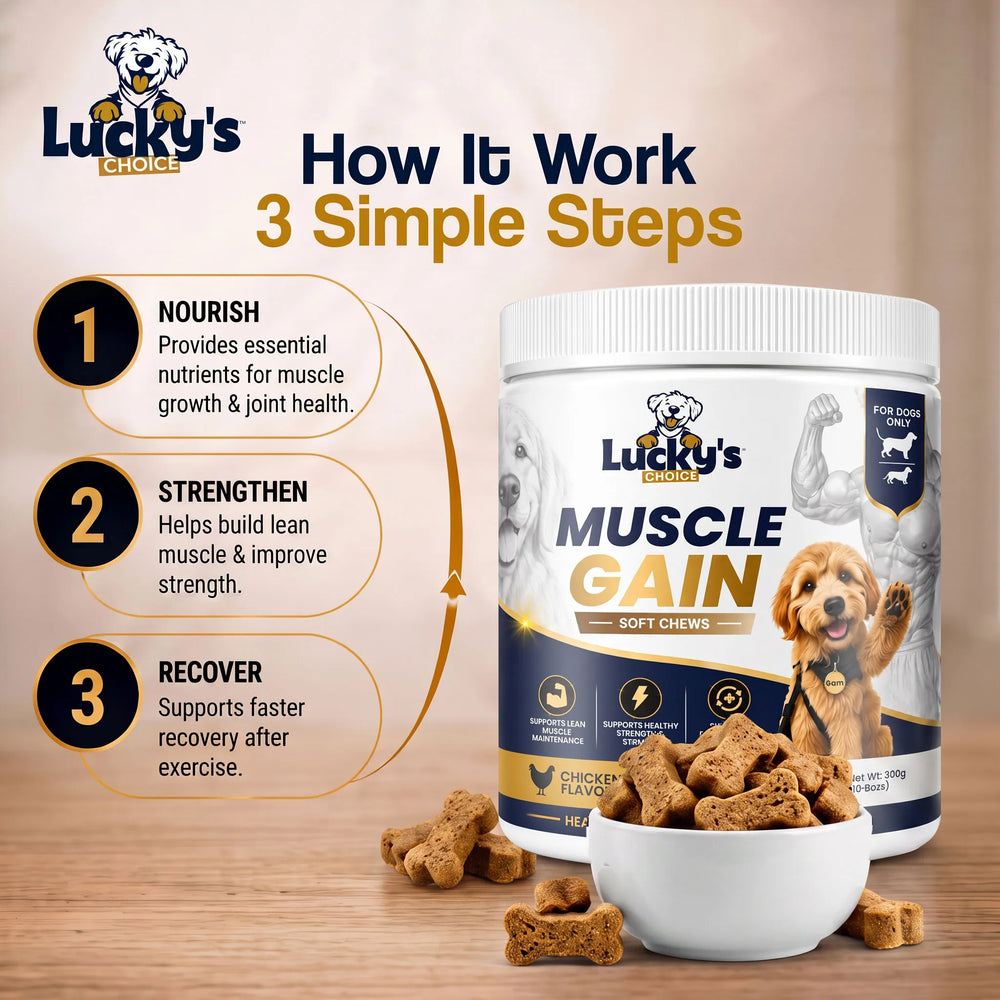 Muscle Gain Soft Chews