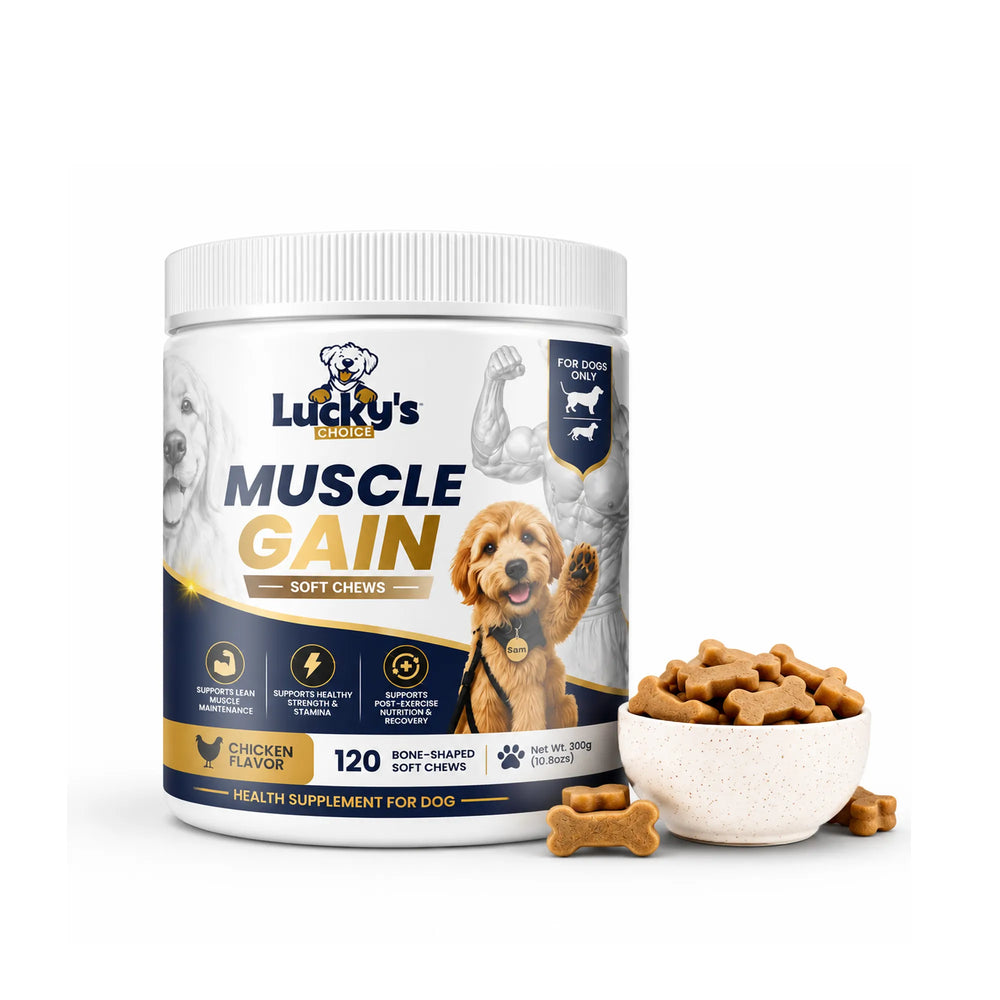 Muscle Gain Soft Chews